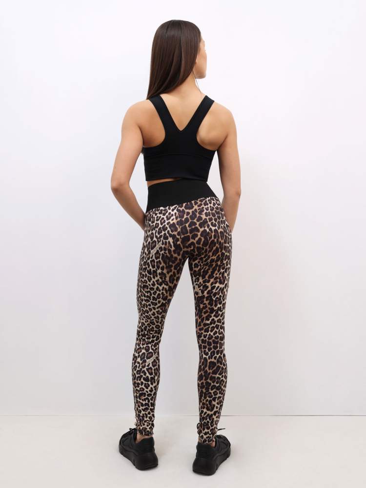 Леггинсы Basic Leo