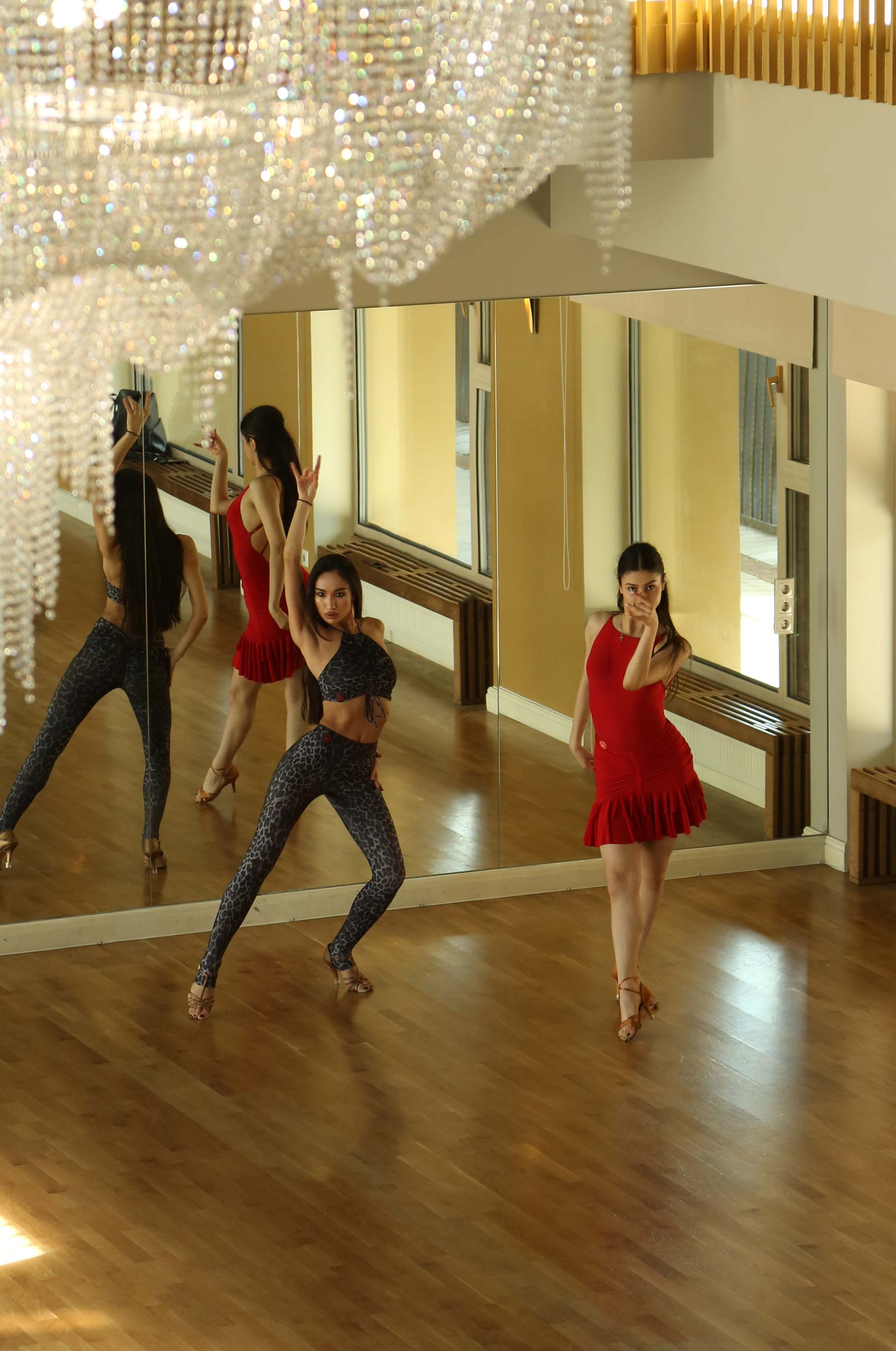 Топ Joyful Grey Leo